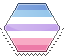 bigender hexagonal stamp