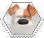 max the dog hexagonal stamp